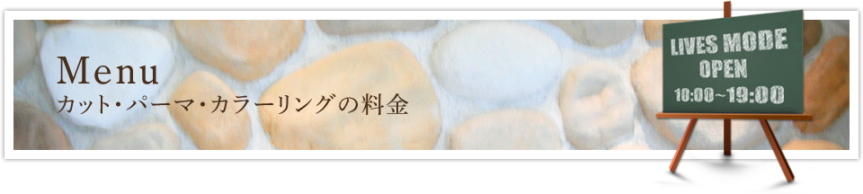 Menu メニュー